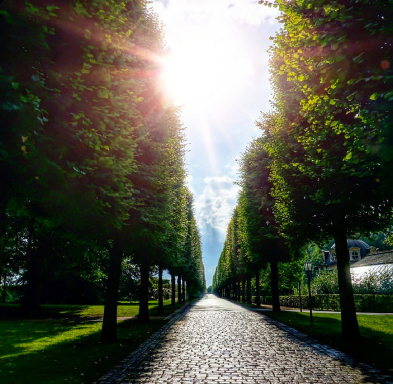 Allee in der Eremitage©Ramona Schriner