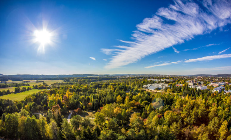 Das Paradies im Süden der Stadt © Ökologisch Botanischer Garten