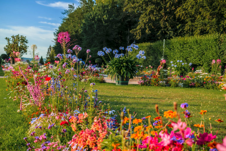 Eremitage Blumen