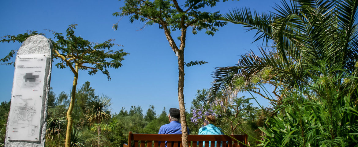 Eingangsbereich © Ökologisch Botanischer Garten