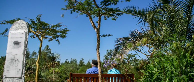 Eingangsbereich © Ökologisch Botanischer Garten