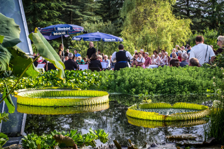 Serenade am Victoriabecken © Ökologisch Botanischer Garten