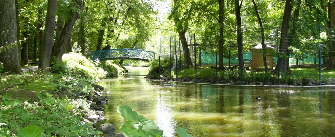 Röhrensee © Stadtgartenamt Bayreuth