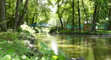 Röhrensee © Stadtgartenamt Bayreuth