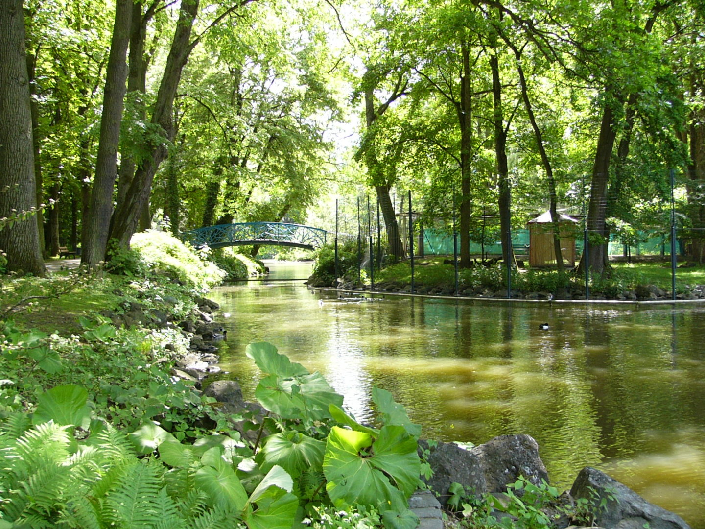 Röhrensee © Stadtgartenamt Bayreuth