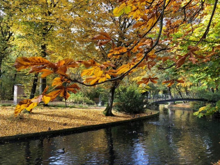 Herbstlicher Hofgarten (c) Bettina Blaß (Op Jück)