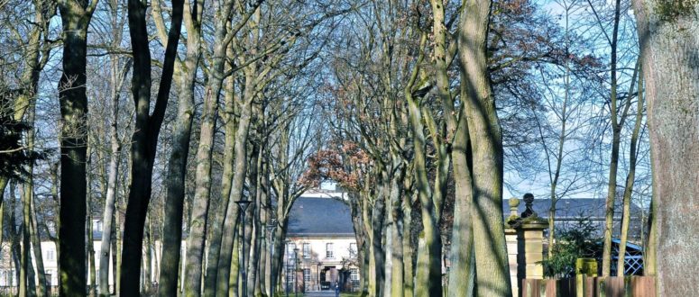 Hofgarten (c) Yuri Laskin 2014