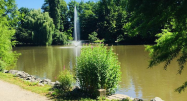 Eine malerische Parklandschaft mit einem unbefestigten Weg neben einem ruhigen Teich, einer zentralen Wasserfontäne, die nach oben spritzt, üppig grünen Bäumen, die das Wasser umgeben, und hellem Sonnenlicht, das lebhafte Schatten wirft.
