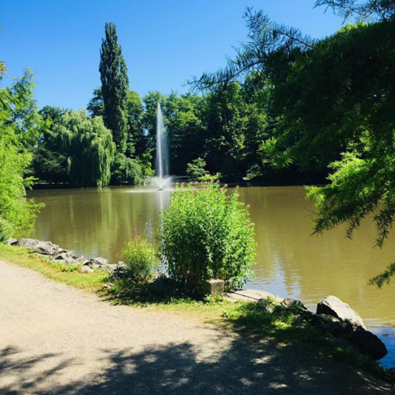 Eine malerische Parklandschaft mit einem unbefestigten Weg neben einem ruhigen Teich, einer zentralen Wasserfontäne, die nach oben spritzt, üppig grünen Bäumen, die das Wasser umgeben, und hellem Sonnenlicht, das lebhafte Schatten wirft.