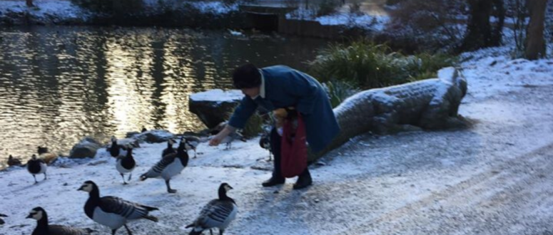 Röhrensee Bayreuth im Winter