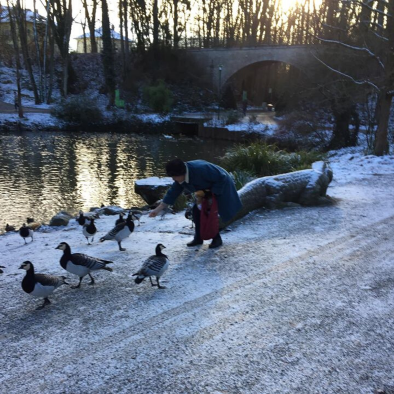 Eine Person in einem blauen Mantel bückt sich, um Enten und Gänse an einem verschneiten Flussuferweg zu füttern, mit Bäumen, einer Steinbrücke und der tief stehenden Sonne im Hintergrund.