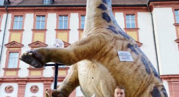 Das Tutorium (Folge 6) — Pure x Tutorium