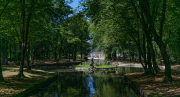 Hofgarten-mit-Blick-auf-das-Neue-Schloss