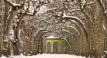Laubengang der Eremitage im Winter