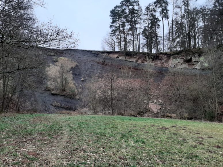 Wald am Schlehenberg