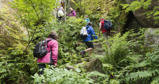 Wandern im Fichtelgebirge