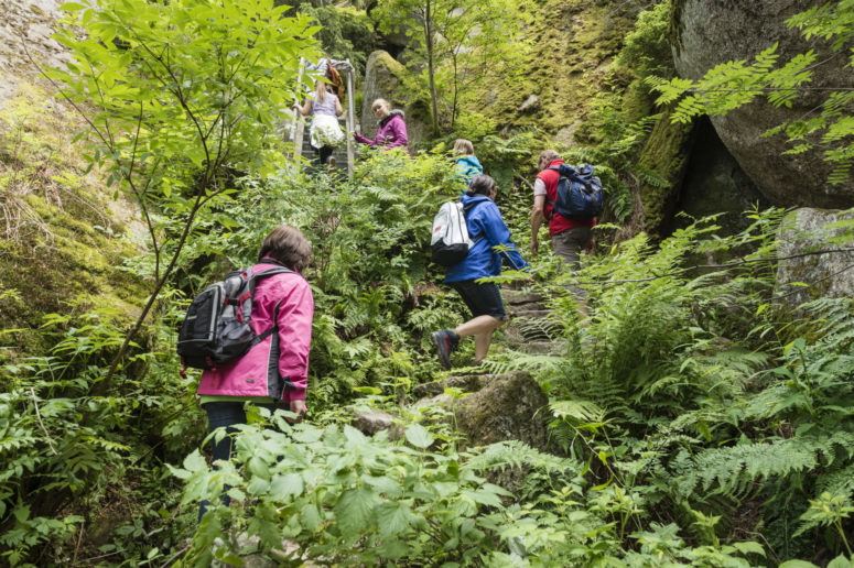 Wandern im Fichtelgebirge