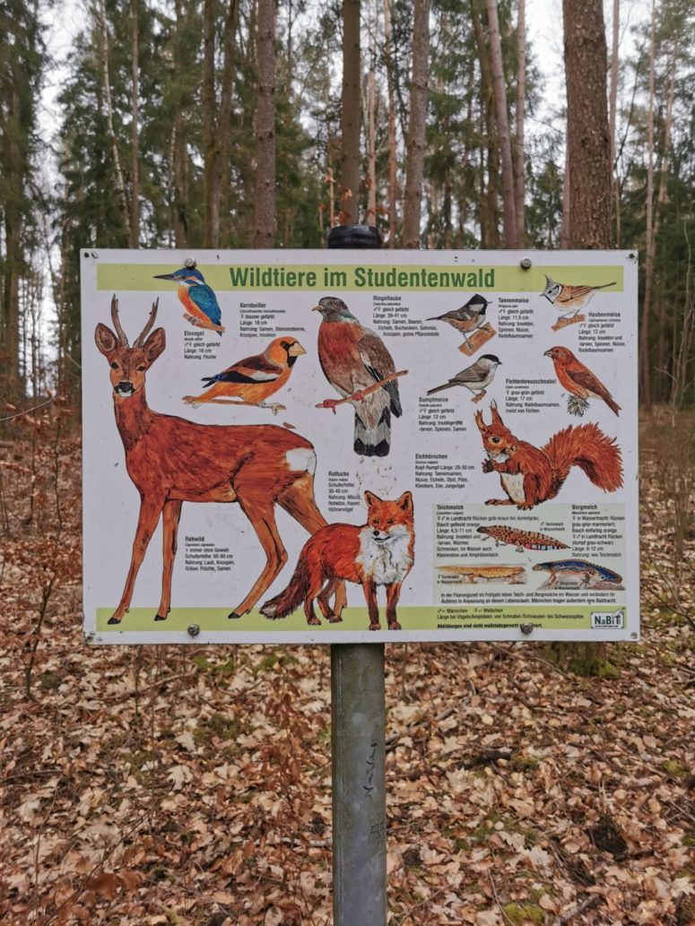 Tafel mit Tieren im Studentenwald