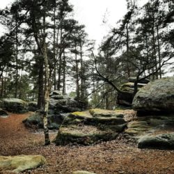 Wander-Geheimtipp: Buchstein