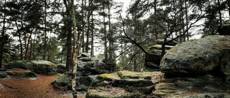 Bild vom Wander-Geheimtipp Buchstein