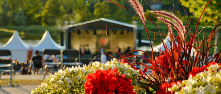 Bayreuth Summertime