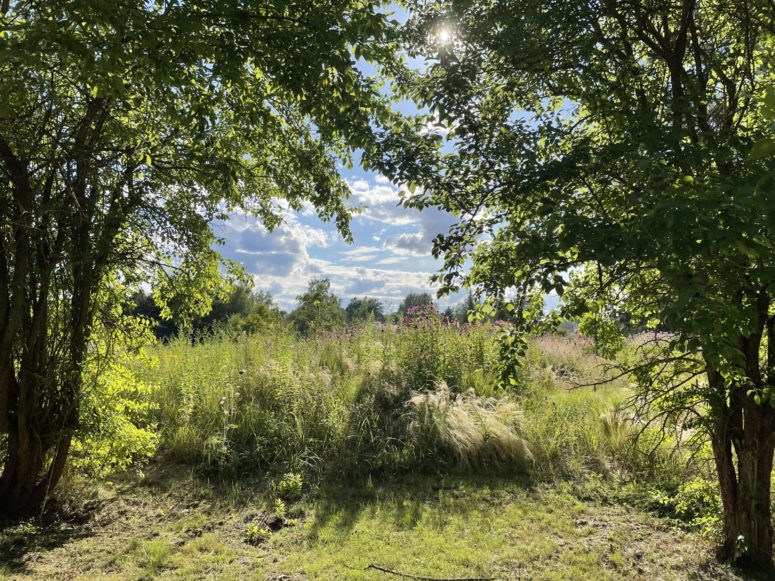 Ökologisch-Botanischer Garten der Uni Bayreuth