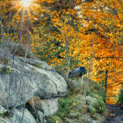 Tips for a wonderful autumn in our city