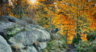 Tips for a wonderful autumn in our city