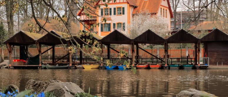 Der Röhrensee, im Vordergrund blaue Blumen, im Hintergrund das Boootshaus und ein Haus