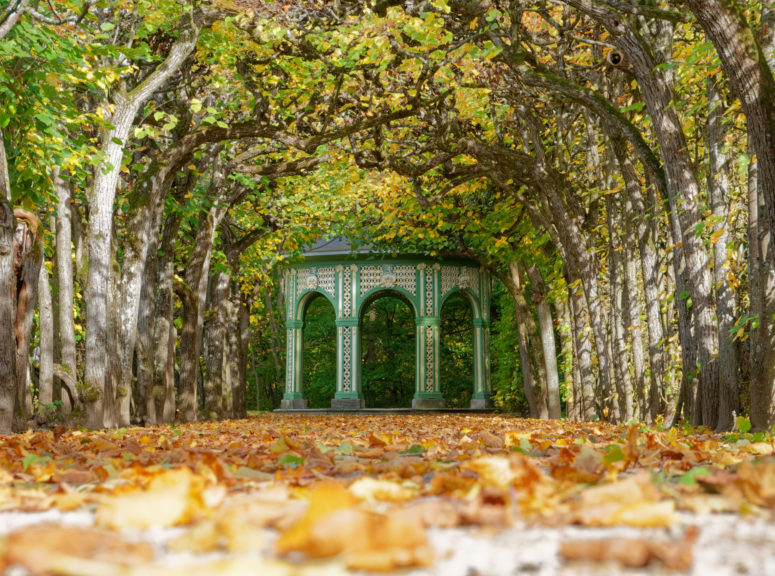 Ein Pavillon der Eremitage in herbstlicher Szenerie.