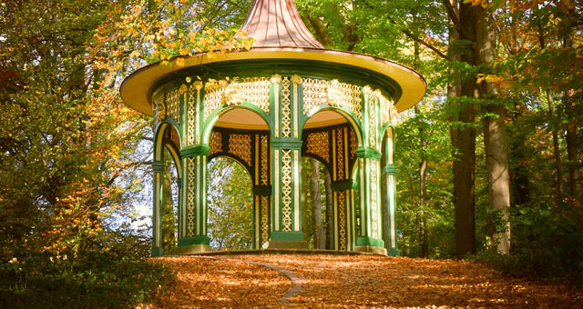Titelbild_Newsletter_Oktober
