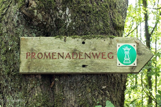Ein pfeilförmiges Holzschild an einem Baumstamm, das den Wanderweg "Promenadenweg" markiert.
