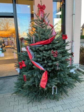 baum-dm-bernecker-strasse