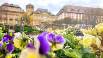 Bunte Blumen im Vordergrund und unscharfe historische Gebäude und Bäume im Hintergrund ergeben eine lebendige Frühlingsszene auf einem europäischen Stadtplatz.
