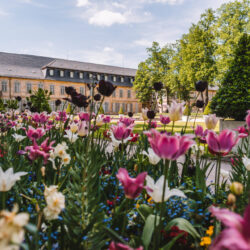 Den Frühling genießen