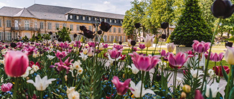 Den Früh­ling genießen