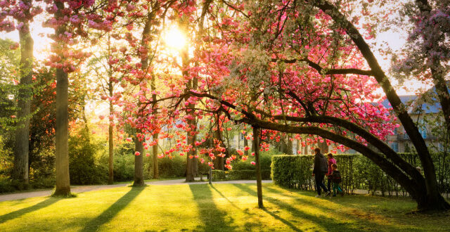 Bayreuth-Tipps im April