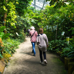Heimische und exotische Welten