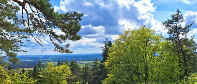 Eine kleine Feier­abend­tour zur Gäns­kopf­hütte bei Weidenberg