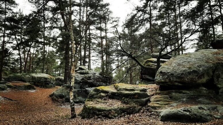 Bild vom Wander-Geheimtipp Buchstein