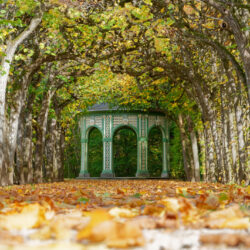 Bayreuther Herbstmomente