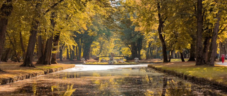 Hofgarten im Herbst