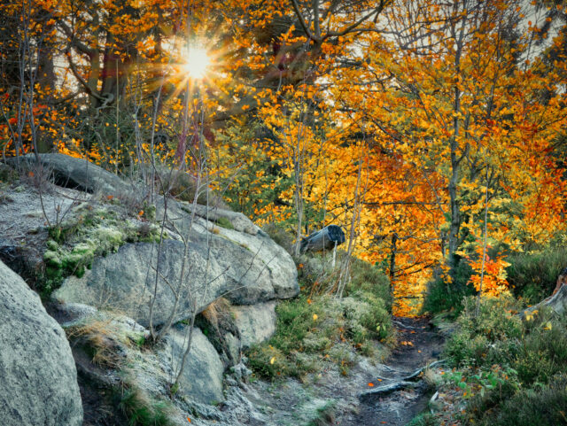 Weg an der Burg Rabenstein (c) Mikhail Butovskiy