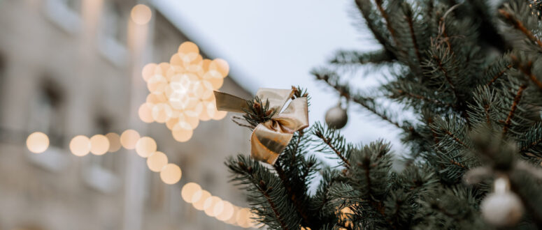 Nicht verpassen: Weihnachtsfahrt der Traktoren am Sonntag, 7. Dezember
