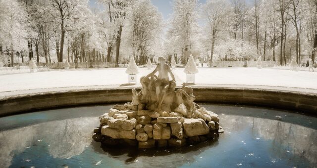 Winterlicher Hofgarten (c) Mikhail Butovskiy