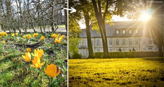 Frühling_Hofgarten