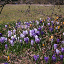 Bayreuth in Bildern: Der Früh­ling ist da!