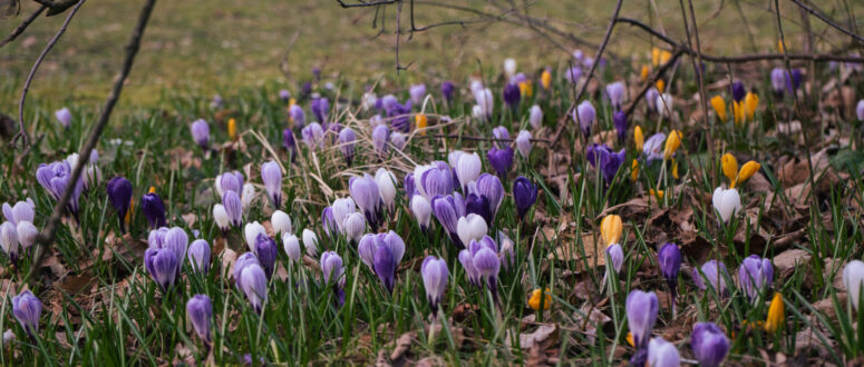 Bayreuth in Bildern: Der Früh­ling ist da!