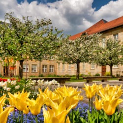 Bayreuth in Bildern: Das Neue Schloss mit Hofgarten