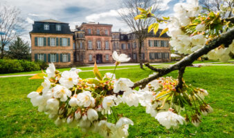 Schloss Fantaisie mit Blumen